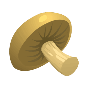 clipart-mushroom-clipart-a-mushroom-with-black-background