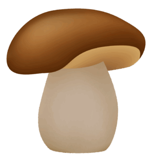 clipart-mushroom-clipart-a-mushroom-with-white-cap