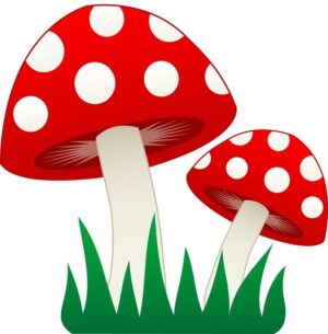 clipart-mushroom-clipart-a-pair-of-mushrooms