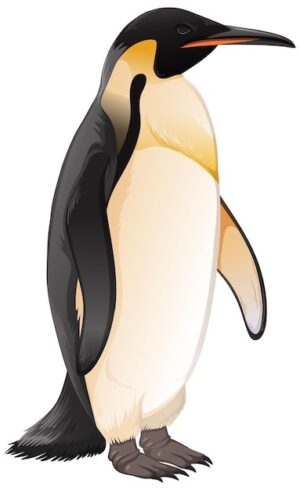 clipart-penguin-clipart-a-penguin-standing-on-its-hinds