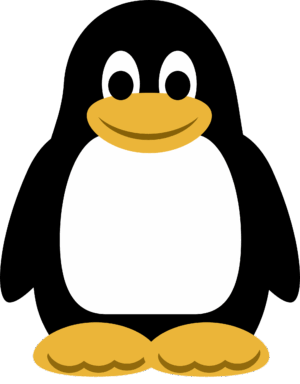 clipart-penguin-clipart-a-penguin-with-big-eyes-and-white-body