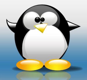 clipart-penguin-clipart-a-penguin-with-white-face-and-black-beak