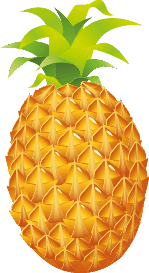 clipart-pineapple-clipart-a-pine-fruit-with-green-leaf-on-top