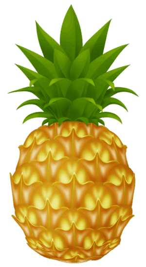 clipart-pineapple-clipart-a-pine-fruit-with-green-leaves
