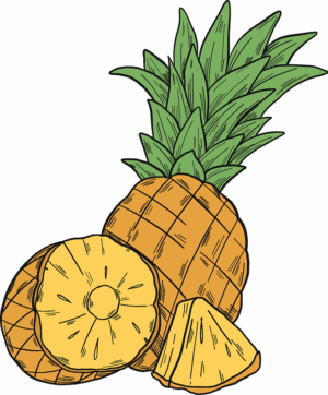 clipart-pineapple-clipart-a-pineapple-and-cut-in-half