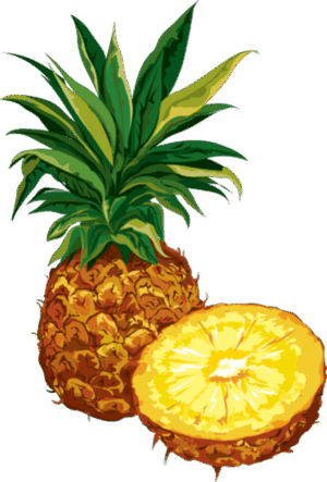 clipart-pineapple-clipart-a-pineapple-cut-in-half