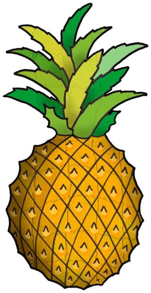 clipart-pineapple-clipart-a-pineapple-with-green-leaf-on-top