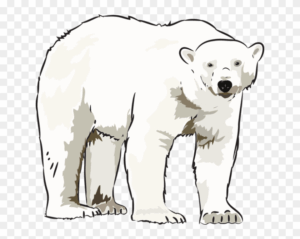 clipart-polar-bear-clipart-polar-bear-clipart