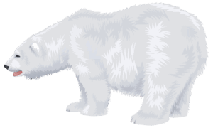 clipart-polar-bear-clipart-polar-clipart