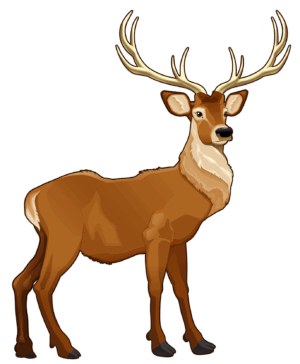 clipart-reindeer-clipart-a-deer-standing-on-black-background
