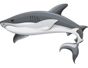 clipart-shark-a-shark-with-big-mouth-two