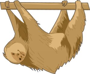 clipart-sloth-clipart-a-slot