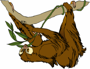 clipart-sloth-clipart-a-slotty-hanging-on-branch