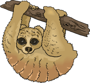 clipart-sloth-clipart-a-sloty-slot-is-hanging-on-branch