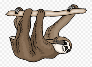clipart-sloth-clipart-slot-slotty-clipart-clip