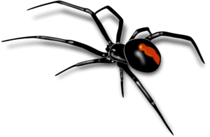 clipart-spider-a-black-widow-spider-with-red-eye