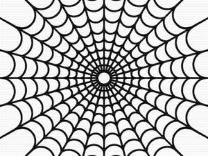 clipart-spider-web-clipart-spider-web