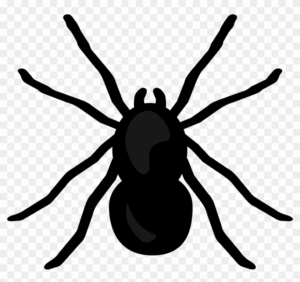 clipart-spiders-clipart-a-black-and-white-spider-silhouette-on-transparent-background