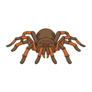 clipart-spiders-clipart-a-tara
