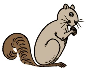 clipart-squirrel-clipart-a-squirrel-eating-nut-two