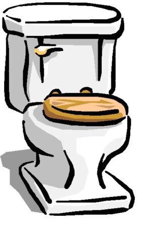 clipart-toilet-clipart-a-toilet-with-lid-and-seat