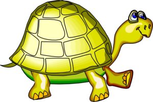 clipart-turtle-a-cartoon-turtle-with-big-head