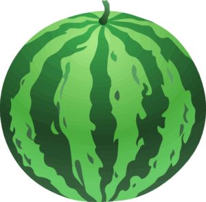 clipart-watermelon-clipart-a-watermelon-with-white-background