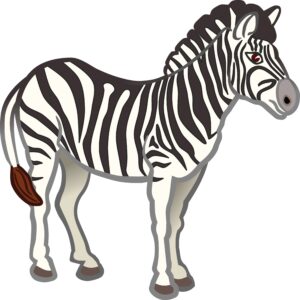 clipart-zebra-clipart-a-zebra-standing-on-white-background