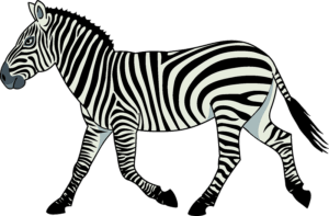 clipart-zebra-clipart-a-zebra-walking