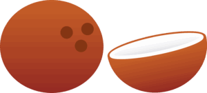 coconut-clipart-a-brown-egg-with-white-shell-two