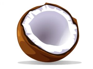 coconut-clipart-a-coconut-with-white-background