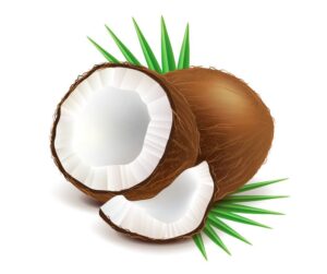 coconut-clipart-coconut-with-leaves-on-white-background
