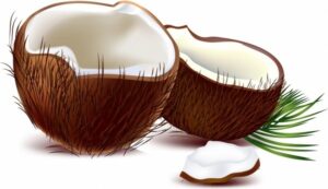 coconut-clipart-coconuts-with-leaves-and