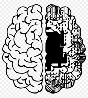computer-science-clipart-a-brain-with-circuit-inside-it
