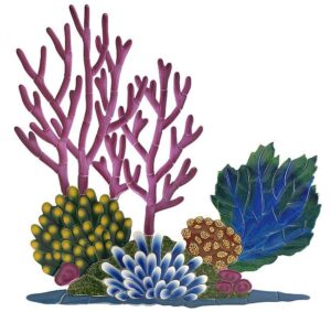 coral-reef-clipart-a-seaweed-and-other-sea-plants