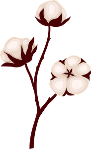 cotton-gin-clipart-a-branch-of-cotton-with-white-flowers