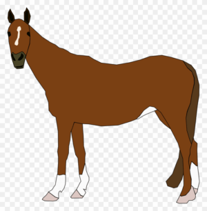 cotton-gin-clipart-a-brown-horse-with-white-feet-and-black-nose
