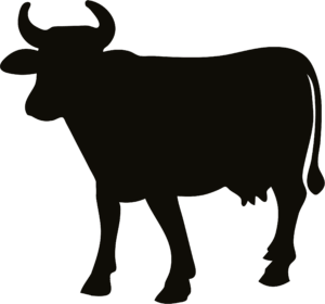 cow-clipart-black-and-white-a-black-cow-standing-on-background