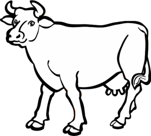 cow-clipart-black-and-white-a-cow-with-long-horn