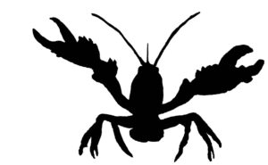 crawfish-clipart-a-black-and-white-silhouette-of-bug