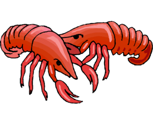 crawfish-clipart-a-red-shrimp