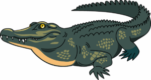 crocodile-clipart-a-crocodile-with-its-mouth-open