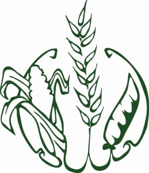 crops-clipart-a-green-and-white-logo-with-stylized-design