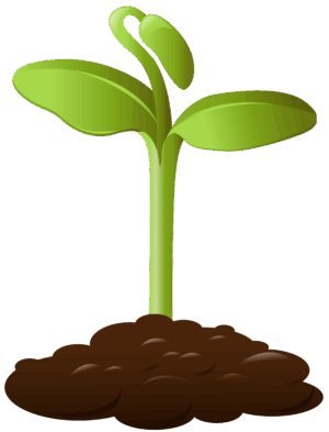 crops-clipart-a-green-plant-with-soil
