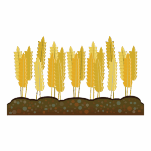 crops-clipart-a-row-of-trees-with-leaves-growing-out-them