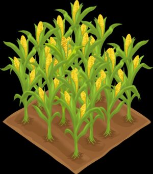 crops-clipart-corn-clipart