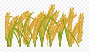 crops-clipart-wheat-clipart-clip