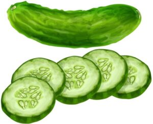 cucumber-clipart-a-cuce-with-slices-and-seeds