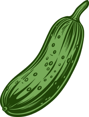 cucumber-clipart-a-green-pickle-four