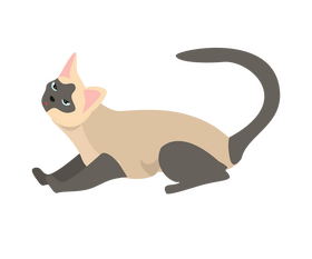 cute-cat-clipart-a-cat-with-black-background